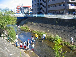 早渕川クリーンアップ中の写真